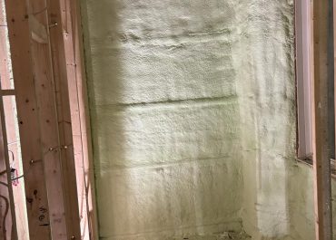 WhatsApp Image 2024-03-05 at 10.53.11 PM